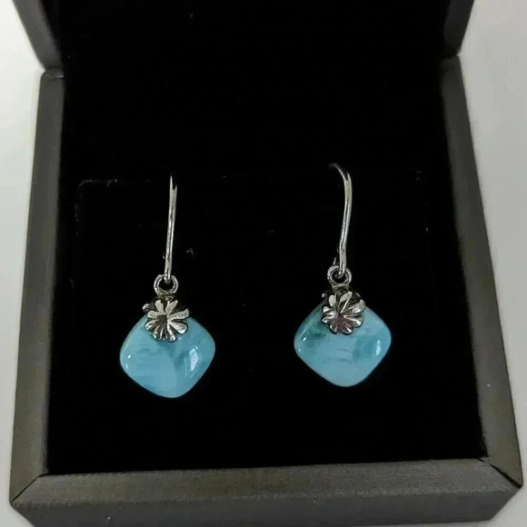Jewelry - Brand new Earrings Silver  925 with Larimar